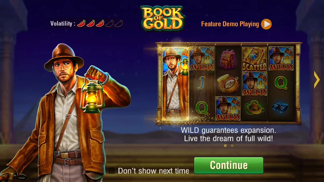 Book of Gold game interface screenshot 1